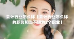 会计行业怎么样【会计行业怎么样的职务相当不错的2个职业】