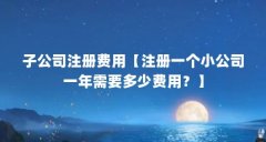 子公司注册费用【注册一个小公司一年需要多少费用？】