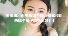骆驼和川西电瓶哪个好【骆驼和川西哪个牌子的电瓶好？】