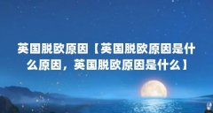 英国脱欧原因【英国脱欧原因是什么原因，英国脱欧