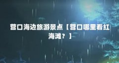 营口海边旅游景点【营口哪里看红海滩？】