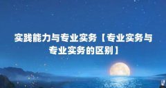 实践能力与专业实务【专业实务与专业实务的区别】