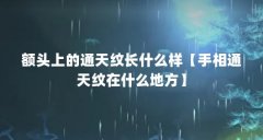 额头上的通天纹长什么样【手相通天纹在什么地方】