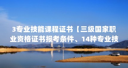 3专业技能课程证书【三级国家职业资格证书报考条件、14种专业技能证书有哪些】