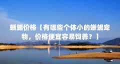 蜥蜴价格【有哪些个体小的蜥蜴宠物，价格便宜容易饲养？】
