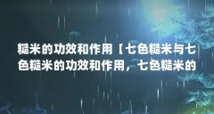 糙米的功效和作用【七色糙米与七色糙米的功效和作用，七色糙米的功效和作用