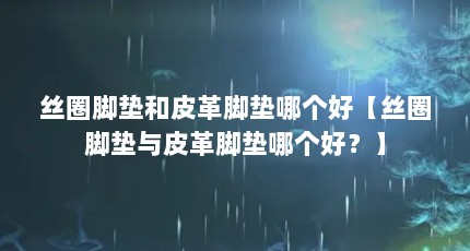 丝圈脚垫和皮革脚垫哪个好【丝圈脚垫与皮革脚垫哪个好？】