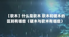 【软木】什么是软木 软木和硬木的区别有哪些（硬木与软木有哪些）【【软木