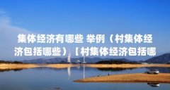 集体经济有哪些 举例（村集体经济包括哪些）【村集体经济包括哪些】