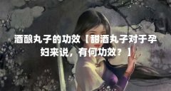 酒酿丸子的功效【甜酒丸子对于孕妇来说，有何功效