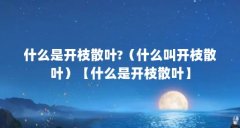 什么是开枝散叶?（什么叫开枝散叶）【什么是开枝散叶】