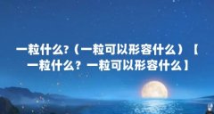 一粒什么?(一粒可以形容什么)【一粒什么?一粒可以形容什么】