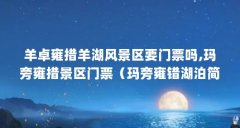 羊卓雍措羊湖风景区要门票吗,玛旁雍措景区门票(玛旁雍错湖泊简介)【羊卓