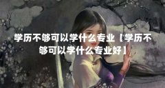 学历不够可以学什么专业【学历不够可以学什么专业好】