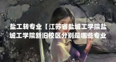 盐工转专业【江苏省盐城工学院盐城工学院新旧校区