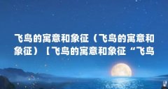 飞鸟的寓意和象征（飞鸟的寓意和象征）【飞鸟的寓意和象征“飞鸟”是什么意