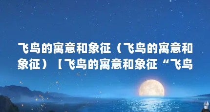 飞鸟的寓意和象征（飞鸟的寓意和象征）【飞鸟的寓意和象征“飞鸟”是什么意思？】