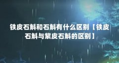 铁皮石斛和石斛有什么区别【铁皮石斛与紫皮石斛的区别】