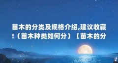 苗木的分类及规格介绍,建议收藏!（苗木种类如何分）【苗木的分类及规格介绍