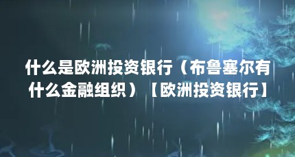什么是欧洲投资银行（布鲁塞尔有什么金融组织）【欧洲投资银行】