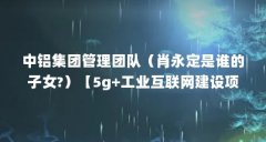 中铝集团管理团队（肖永定是谁的子