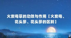 火炭母草的功效与作用【火炭母、花头蓼、花头蓼的区别】
