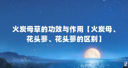 火炭母草的功效与作用【火炭母、花头蓼、花头蓼的区别】