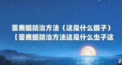 蕾鹿蛾防治方法（这是什么蛾子）【蕾鹿蛾防治方法这是什么虫子这是什么虫子