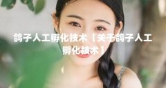 鸽子人工孵化技术【关于鸽子人工孵化技术】