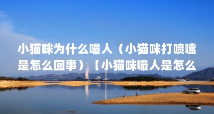 小猫咪为什么嘬人（小猫咪打喷嚏是怎么回事）【小猫咪嘬人是怎么回事】
