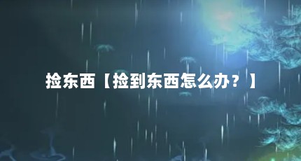 捡东西【捡到东西怎么办？】