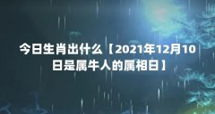 今日生肖出什么【2021年12月10日是属牛人的属相日】