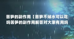 苦笋的副作用【苦笋不焯水可以吃吗苦笋的副作用解答对大家有用吗】