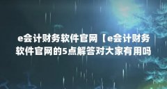 e会计财务软件官网【e会计财务软件官网的5点解答对大家有用吗】