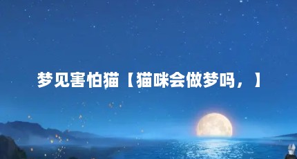 梦见害怕猫【猫咪会做梦吗，】