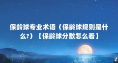 保龄球专业术语(保龄球规则是什么?)【保龄球分数怎么看】
