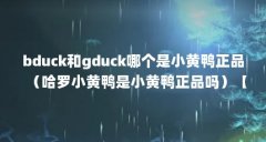 bduck和gduck哪个是小黄鸭正品（哈罗小黄鸭是小黄鸭正品吗）【bduck和gduck哪个是