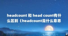 headcount 和 head count有什么区别(headcount是什么意思(hc是正式员工的意思吗))【