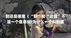 侧边是哪里（“侧”和“边缘”不是一个意思吗?为什么一个叫侧膜胎座,一）【