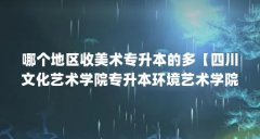 哪个地区收美术专升本的多【四川文化艺术学院专升本环境艺术学院专升本有多