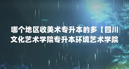 哪个地区收美术专升本的多【四川文化艺术学院专升本环境艺术学院专升本有多少人】