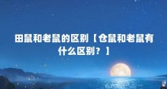 田鼠和老鼠的区别【仓鼠和老鼠有什么区别?】