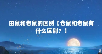 田鼠和老鼠的区别【仓鼠和老鼠有什么区别？】