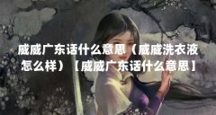 威威广东话什么意思(威威洗衣液怎么样)【威威广东话什么意思】