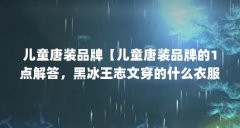 儿童唐装品牌【儿童唐装品牌的1点解答，黑冰王志文穿的什么衣服】