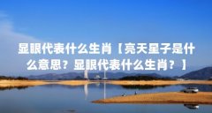 显眼代表什么生肖【亮天星子是什么意思？显眼代表什么生肖？】
