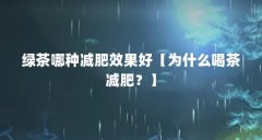 绿茶哪种减肥效果好【为什么喝茶减肥?】