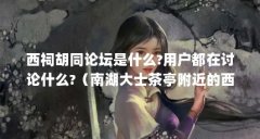 西祠胡同论坛是什么?用户都在讨论什么?(南湖大士茶亭附近的西祠胡同商业街
