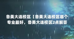 鲁美大连校区【鲁美大连校区哪个专业最好，鲁美大连校区2点解答】