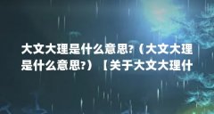 大文大理是什么意思?（大文大理是什么意思?）【关于大文大理什么意思（大文